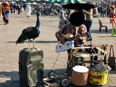 フナ広場へ。

ここでは、たくさんの屋台のほか、大道芸人やサル使いやヘビ遣い等々、大勢の人でごった返していてお祭り騒ぎ。

夜になると、もっともっと屋台がオープンして、人も集まって大賑わい★

これは、色んな楽器を演奏する人とクジャク。