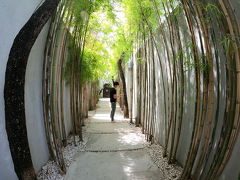 バンブーとよく書かれていましたが、本当に竹が多くてこの部屋の前の通りはおしゃれ！