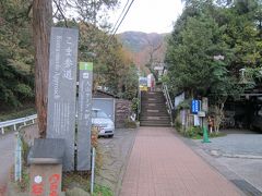 「こま参道」

大山ケーブル駅まで382段の階段です。