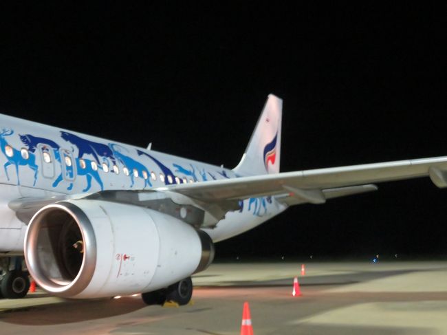 ボーディングブリッジはないので徒歩にて