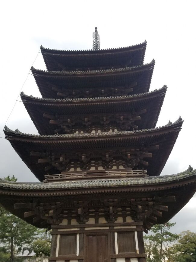 興福寺まで戻ってきました。五重塔。