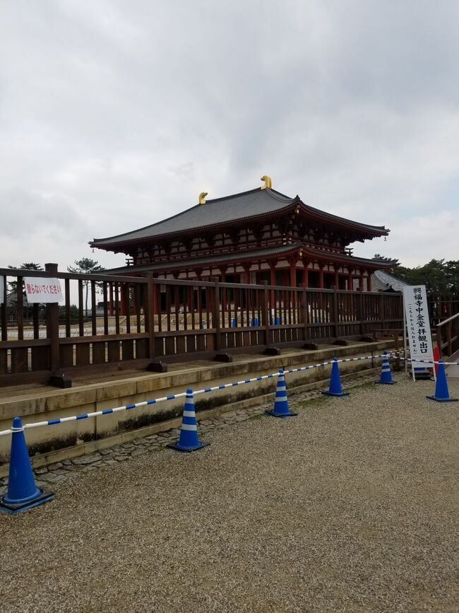 柵がちょっと無粋ですね