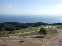 高速を下りて丘沿いのうねうね道を走って次のスポットへ。菜の花が咲き出している「花さじき」にやって来ました。