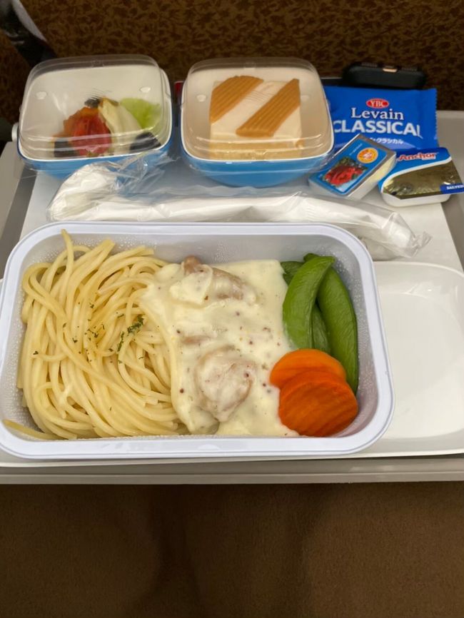 出発してしばらくして機内食<br />こちらがお肉のメニュー