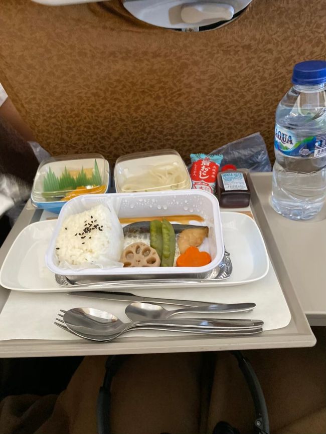 こちらがお魚<br />不味くはないけれど美味しくもないかな<br /><br />映画は全体的に多くなく<br />日本語対応しているものも少なかったのでガッカリでした<br />まー、妹とずーっとガールズトークをしていたので、そこまで苦痛ではありませんでした<br />座席のスペースはやっぱり格安航空と比べると広かったのでゆっくりできました