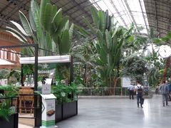 アトーチャ駅に戻りトレドへ。
旧駅舎が植物園になっていました。　駅の雰囲気になじんでいるのも不思議な感じがします。