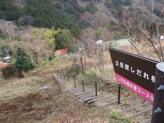 ここが土佐原しだれ桜のようです。