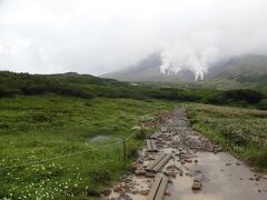 もう山頂はガスで見えません。
小雨が降りはじめ、止む気配もありません。