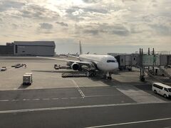 CAさん「私は◯◯県です。彼女は◯◯なんですよ。
スタンプはどちらになさいます？」

などという会話ができるのが、
JALの出身地スタンプのいいところ(*´ω`*)
楽しいです。