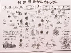 続いては、秋津野という地域の産直販所「きてら」さん。目立つのはやっぱり紀州みかん。農家さんのお名前がついたカートには、それぞれ種類や量、値段も違うみかんが入っているので、試食して好みのものを選ぶことができます。いやもう、お安いしおいしいし。一年を通じて、柑橘類がとれるのですねー。「みかん、買ったことない」とサポーター氏。