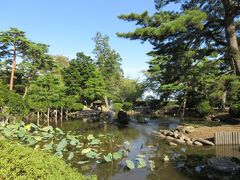 胡月池・公園を設計した長岡安平が最初に築造した池。石灯籠や噴水が趣を添える。