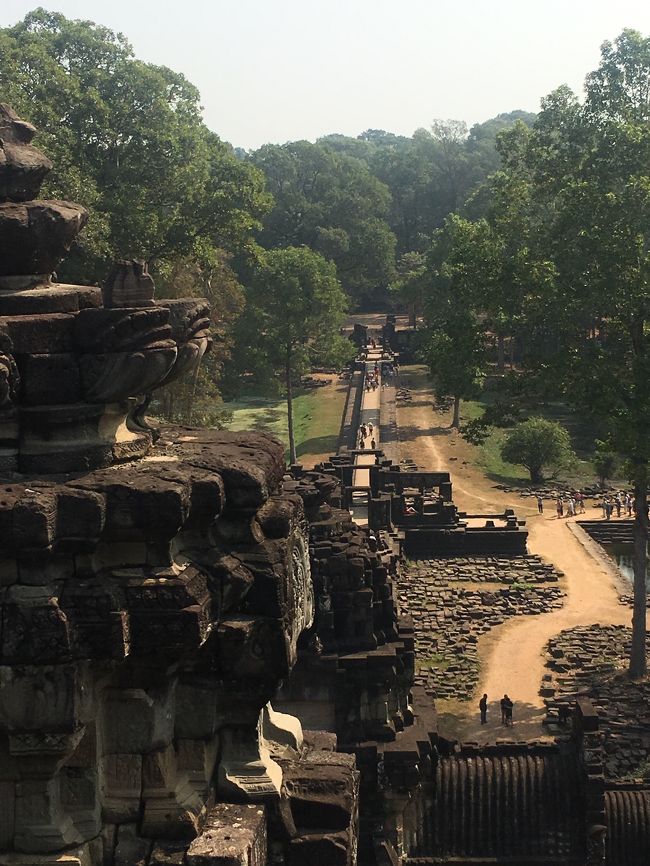 密林の中の遺跡