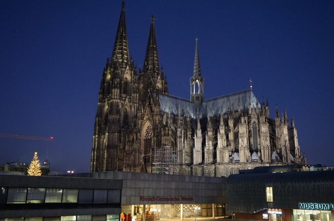 7時半過ぎ、部屋に戻ってきました。<br />まだ暗いものの、少し空が白んでいます。