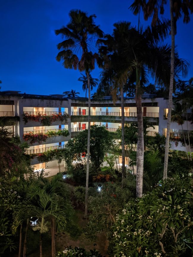 足の裏に何か感触が。<br />「何か踏んじゃったかな？」