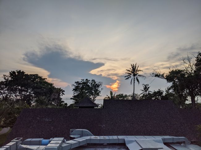 ミツバチらしき小さめの蜂が足の裏にくっついておりました。