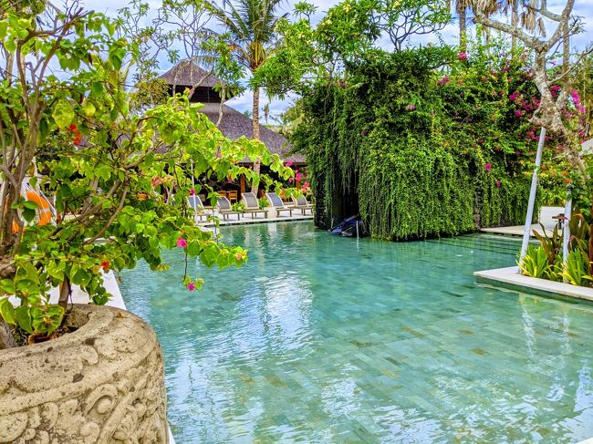 終始影の薄い夫でしたが、大した事無さそうだったのと、私が落ち着いてテキパキ動いていたので見守っていたそうです。（ちょっとは心配しろ。そして世話を焼け。）<br /><br />良くも悪くもこのホテルはネイチャー豊かなので虫がとても多かったです。<br />蚊に気は配っていましたがそれだけじゃなかった。。<br />だからもっとちゃんと注意しておかなきゃいけなかったですね。