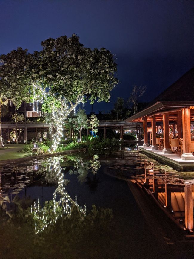 しばらく観察されると薬をペッと塗られ、絆創膏をペッと貼られて終了しました。<br />「～～～～～～～～～. ～～～～～～～～～～come again.」と長めの文章を言われました。<br />でも人って窮地に追い込まれると理解できるものなんですね。<br /><br />彼は「皮膚の厚い所だったから大事にはならなかったかもね。」「熱が出たりひどく痛んだりしたらまた来てね。」と聞こえました。（ホントかよ）