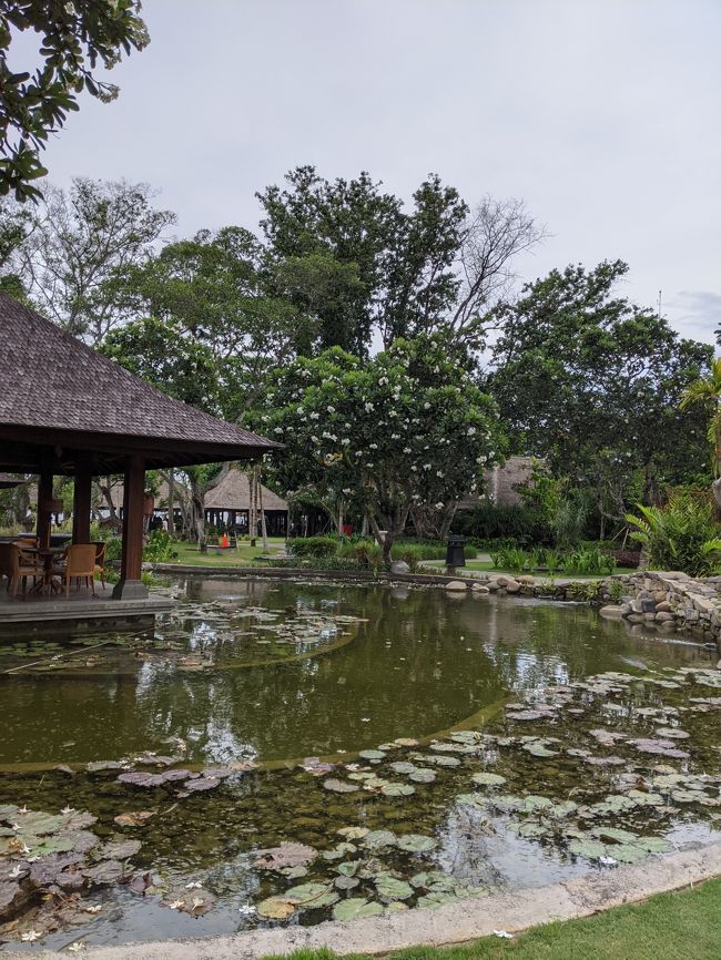 「oh! 蜂！」と思いつつ後ろを歩いていた夫に蜂を踏んだ事を伝え、近くのプールの水で足の裏を洗い流して、残っていた針をペイッと取りました。（取れたから良かったものの、無理やり取ろうとすると残ったりして良くないと後々ネットで調べました。）<br /><br />そしてたまたま持っていた”ボカシオイル”（バリ島のオロナイン的な位置づけの薬）をペッと塗り、