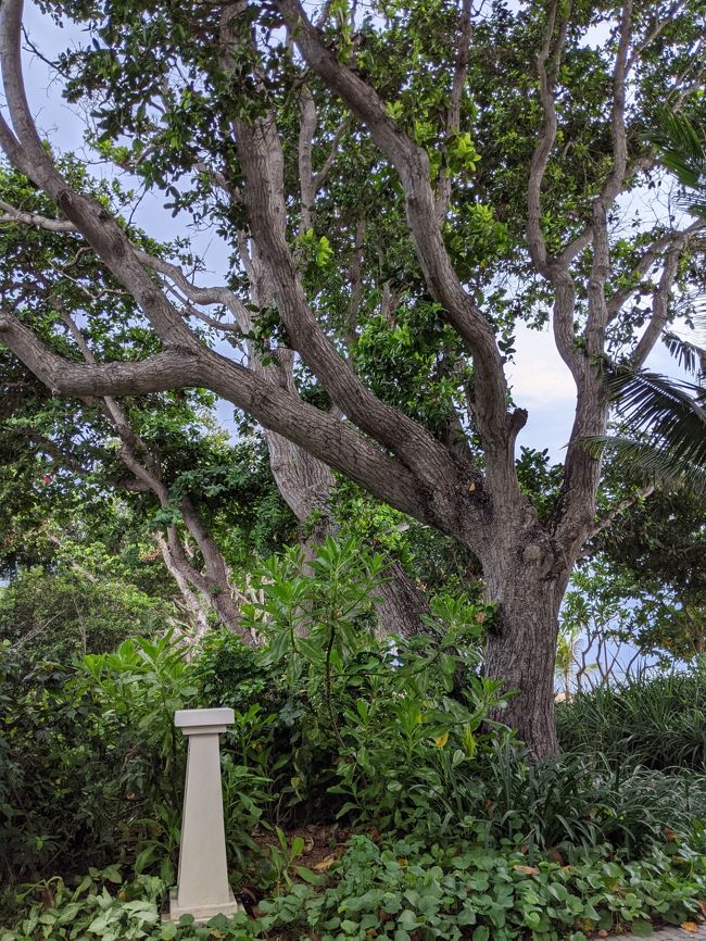 医務室へ行く途中、スマホで”踏む”→英語を調べながら歩きました。（step onでした）<br /><br />今考えると、google翻訳を使えばよかった。