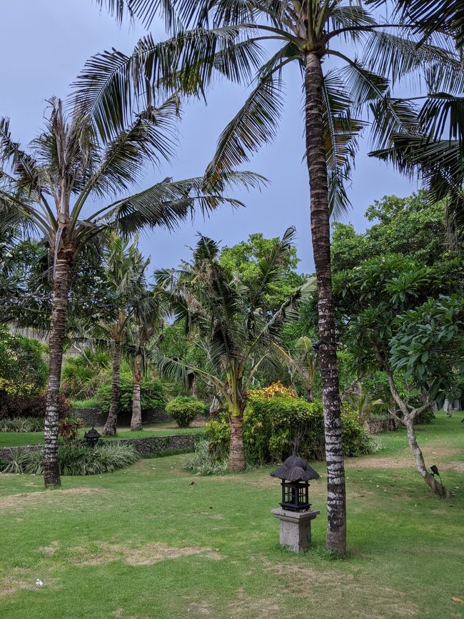 その間夫はと言うと、黙って後ろからついて来ていました。(笑)