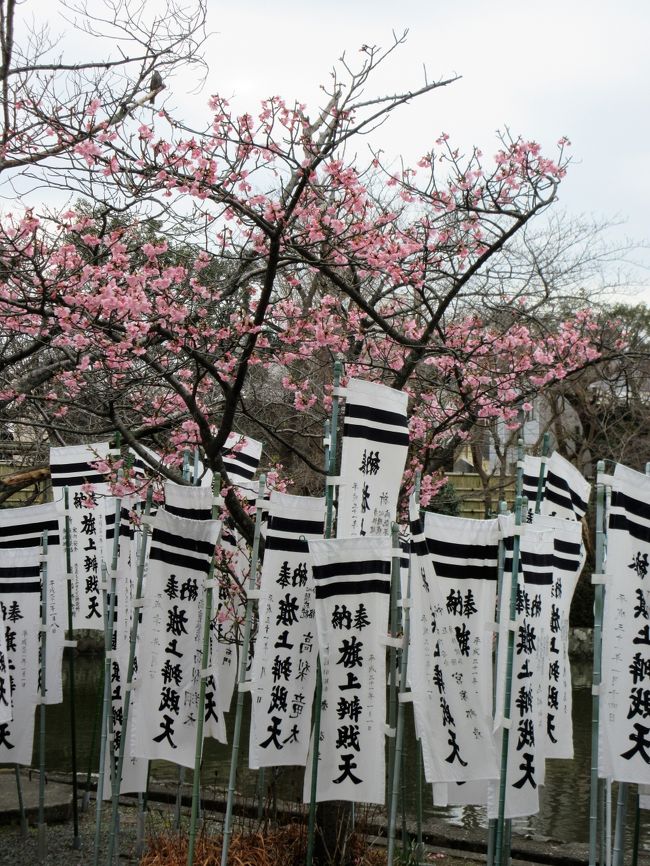 鎌倉八幡宮境内(額装済み) 令和五年元日に鎌倉・鶴岡八幡宮へ初詣！ - h-kikuchi.net