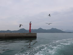 須波港に立寄ります。
やはりカモメたちに囲まれてました。^^