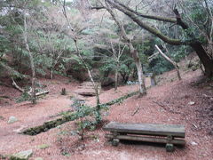 紅葉谷公園はホテルの直ぐ裏。
一度戻りフロントにまだ少し温かい
紅葉まんじゅうを預けて再出発！