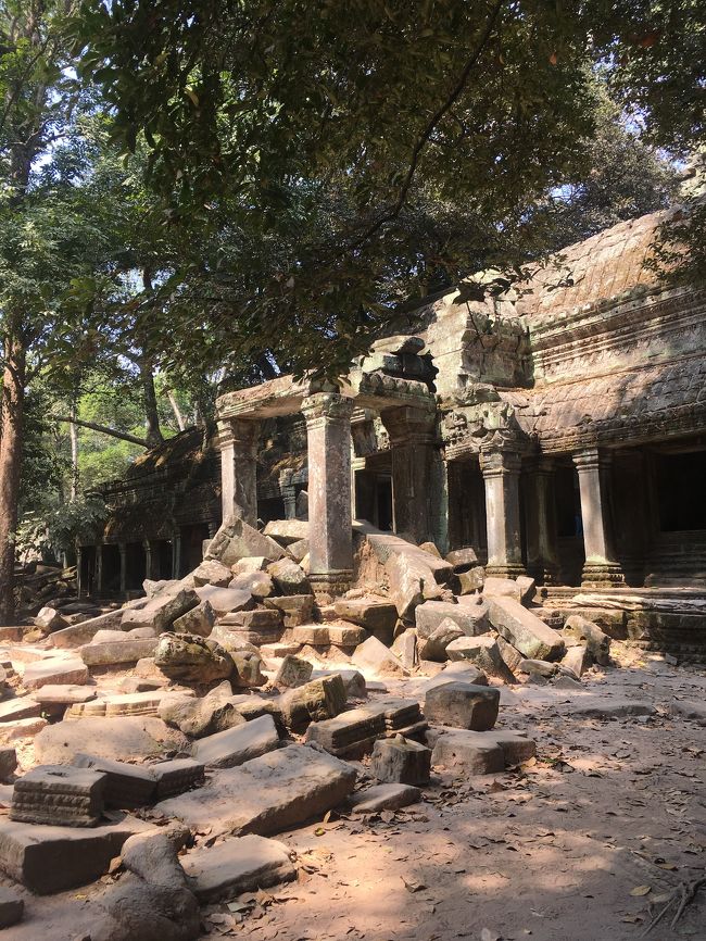 映画トゥームレイダーのロケ地