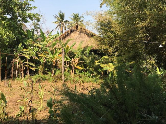 ランチへ。　これがレストラン？