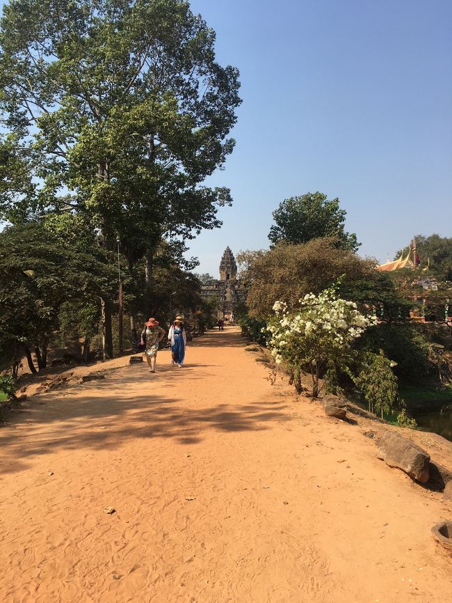 遺跡めぐりはとにかく歩く