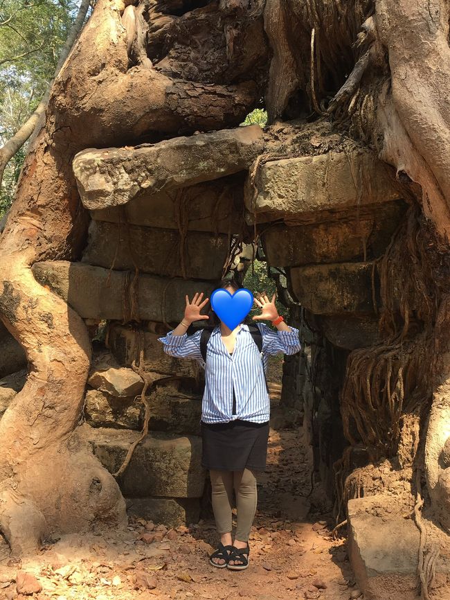 もっと引きで撮って欲しかったよーーー