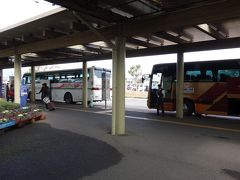 で、ここからが思った以上にせわしない。
高知駅行きのバスは飛行機の到着から10分で出るので、到着の余韻もなにもなくバス乗り場に直行。預け荷物ある人はきつそう。
なんか別会社の2台止まっていますが、どっちでもいいみたい。