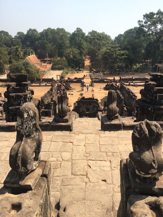 そして熱い中　高い所へ上って　お腹も空く