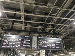 帰りは来た道を逆に帰るだけ。
仙台駅、帰りははやぶさ。