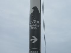 ゴジラ岩を見に来ました。この電柱から見ると、ゴジラに見える。