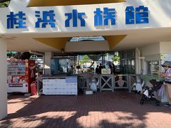 　話題の桂浜水族館に来てみました。入館料は大人1200円もしますし、中にはあちこちに課金コーナーが。施設はボロいので、ああやって売り出していくしかないのかなあと。