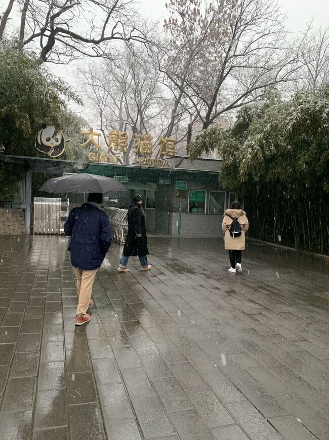 中国北京お土産4点セット＋手提げ袋 中国北京お土産4点セット＋手提げ袋 北京のお土産におすすめの