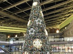 最後にフォーラム・デ・アールに寄りました。

2016年にリニューアルオープンした
大きなショッピングモールです。

このクリスマスツリーはなんだかなあ( ;∀;)
日本の方がずっと洗練されているのでは。

パリだからなんでも素敵ってわけでは
ないようですね( ´艸｀)