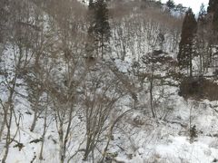 板谷峠付近。木に雪が積もってない。