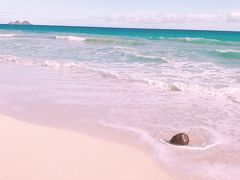 ワイマナロ ベイ。
なーんにもない透き通ったビーチにココナツが流れ着いていて、とても絵になります。