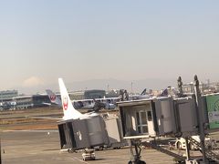 羽田空港について、まっすぐカードラウンジへ。

本を読んでいたのに、たまたま目を上げた瞬間目に飛び込んできたものにビックリ！

なんと「嵐ジェット」!
とうとう見ることが出来た～♪