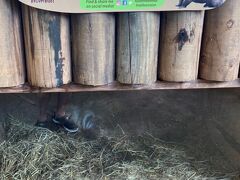 おわかりいただけただろうか