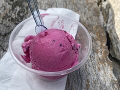 ひらがなで書かれたメニューもあった
ドラゴンフルーツをチョイス
まいう～