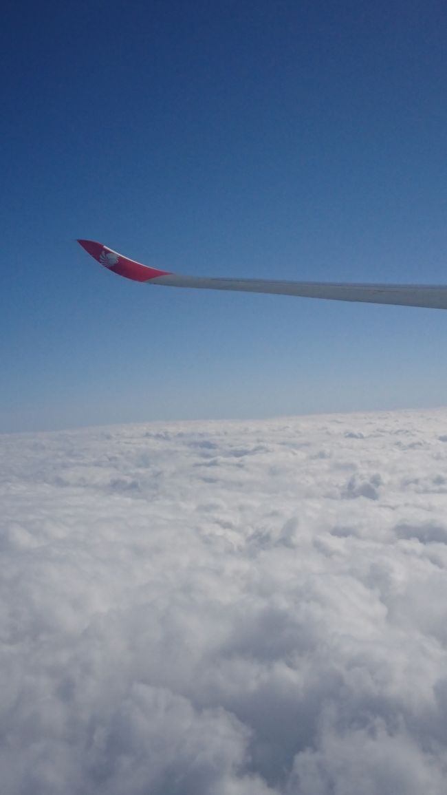 成田に着く前から雨でした。<br />旅行会社より30分早く出発どのメールをもらい喜んで成田到着。元の時間になっても飛行機がこない。<br />まぁしょうがない。