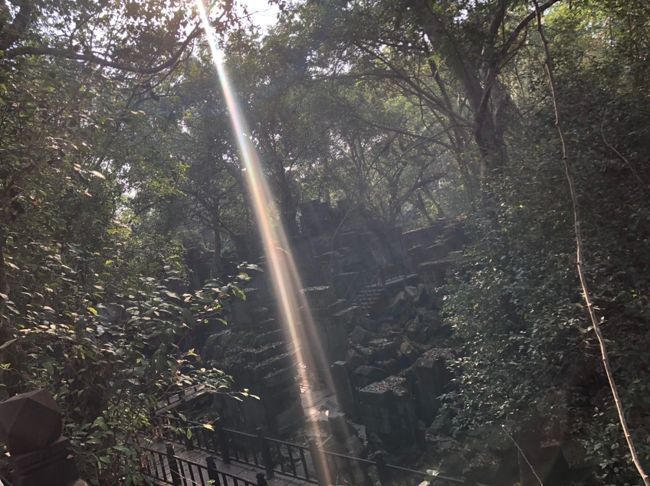 あの天空の城ラピュタのモデルともなったらしいです。<br /><br />・・・まあ、ジブリの●●のモデル"らしい"というところ、世界中にありますけどね笑<br /><br />確かに雰囲気は似ているかもしれません。<br /><br />遺跡全体が樹木に侵食されている雰囲気は、タプロームに近い。