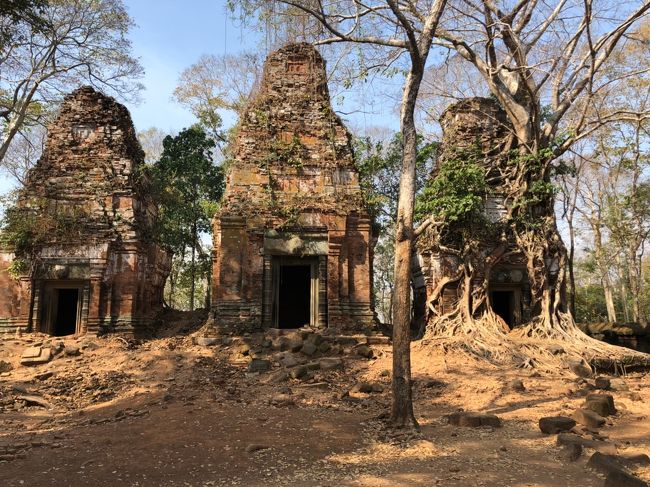 <br />【10:30】コーケー遺跡群の中の、プラサットプラムに到着。<br /><br />この遺跡は、本当に私たちしかいませんでした。<br /><br />小ぢんまりとした遺跡で、滞在時間も１５分ほど。<br /><br />ですが、個人的には結構お気に入りです。<br /><br />タプロームでは、樹木と遺跡が派手にミックスされた、「定番撮影スポット」っていうところが、だいたい３か所あるんですけど、<br />