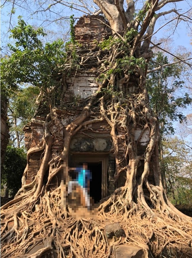 <br />そのどれよりも、この写真がインスタ映えする気がするんです笑