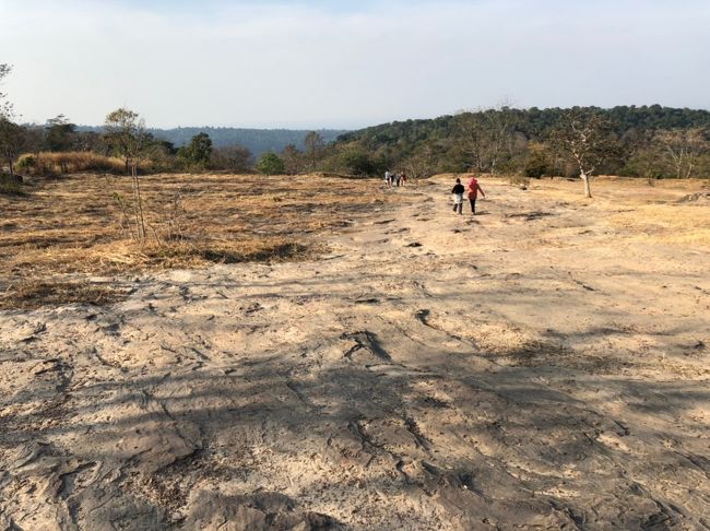 【15:50】下山。<br /><br />もう少し自由時間が欲しかったところではありますね。<br /><br />あ、でも、これだけの絶景でありながら、私たち以外は誰もいなかったので、写真は撮り放題でした笑<br /><br />もしこれが大混雑なら、写真撮影だけですごい行列になりそうなものだけど。<br /><br />下山は、行きとは異なり、何もない平地をひたすら降りていきます。<br /><br />特に解説もなくどんどん進むので、行きよりは格段に速いです。<br />