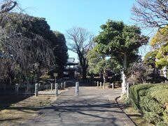 豊玉氷川神社から西へ約１Ｋｍ、南蔵院に着きました。