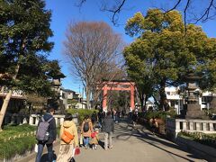 今回のコースは5kmという短い距離。

まずは氷川神社へ。